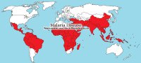 Что нужно знать о малярии?
